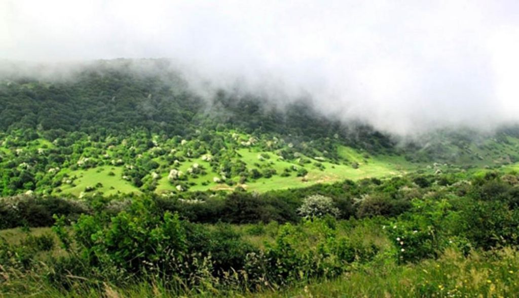 پارک جنگلی فندقلو